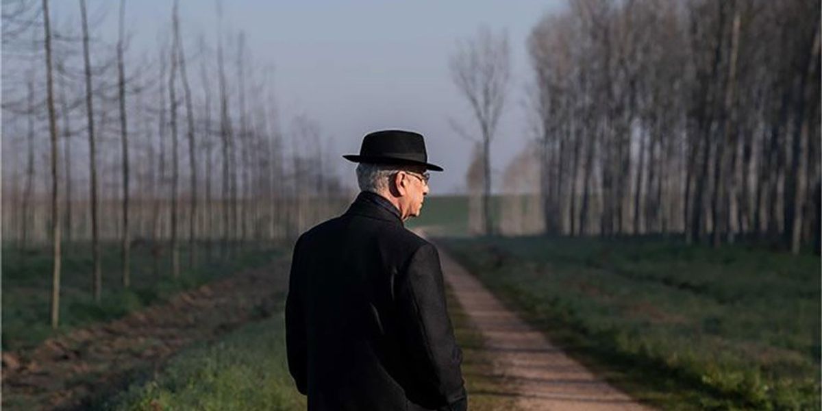 sorrentino ha riportato la morte a venezia