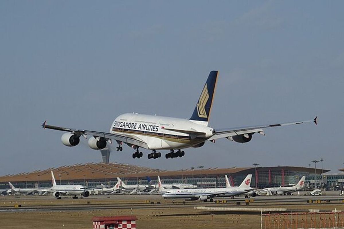 airplane, business, singapore airline, airlines, salary, employess