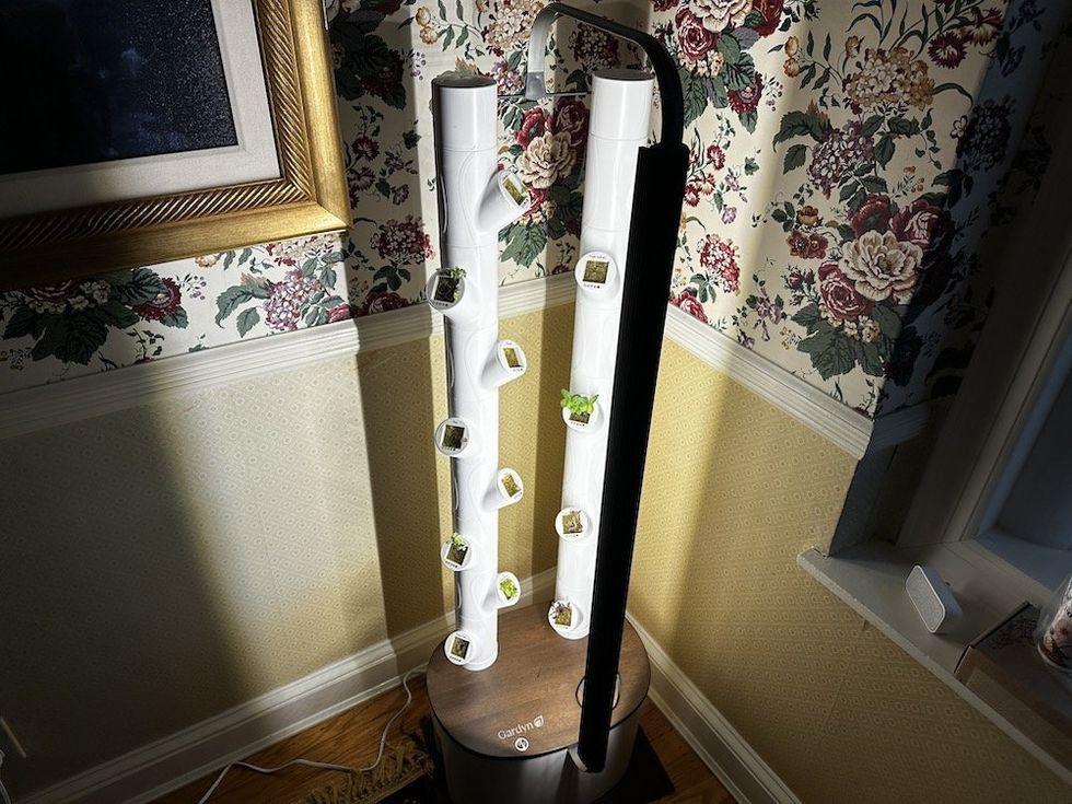 photo of Gardyn Studio with lights on in a room.