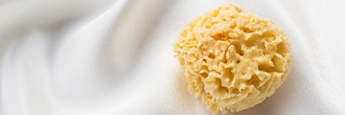 natural sponge on a soft white silk fabric background, top view, sea sponge natural period care