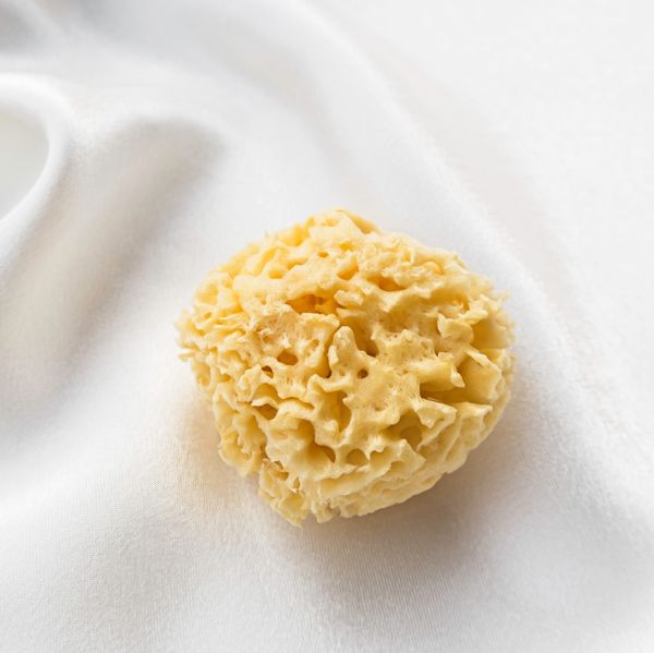 natural sponge on a soft white silk fabric background, top view, sea sponge natural period care