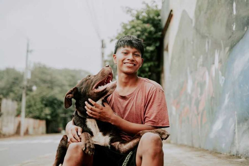 Dogs really do have favorite people, and here's how they decide who it will be