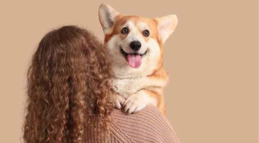 dogs; dogs favorite; dog's best friend; pets; people and pets; rescue animals