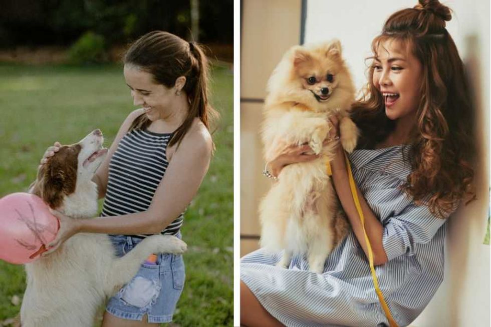 dogs; dogs favorite; dog's best friend; pets; people and pets; rescue animals