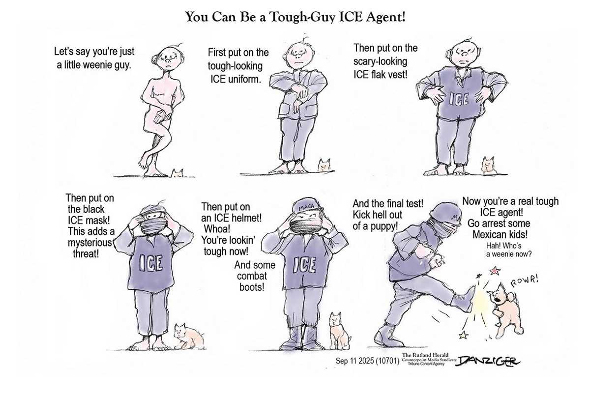 Danziger Draws