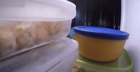 fridge, full fridge, food security, food scarcity, food