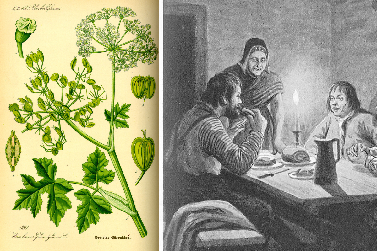 food, history, food origins, food history, biodiversity, farming, agriculture, apples, pears, dates, meat, beef, culture