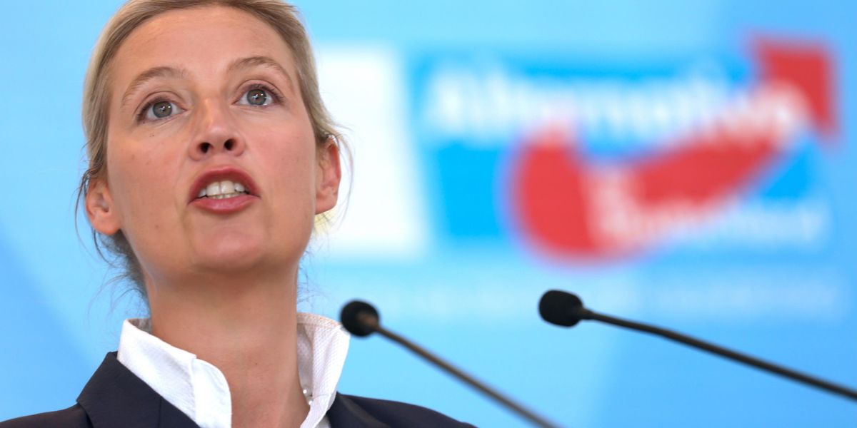 in patria provano a metterli al bando e i capi di afd volano alla casa bianca