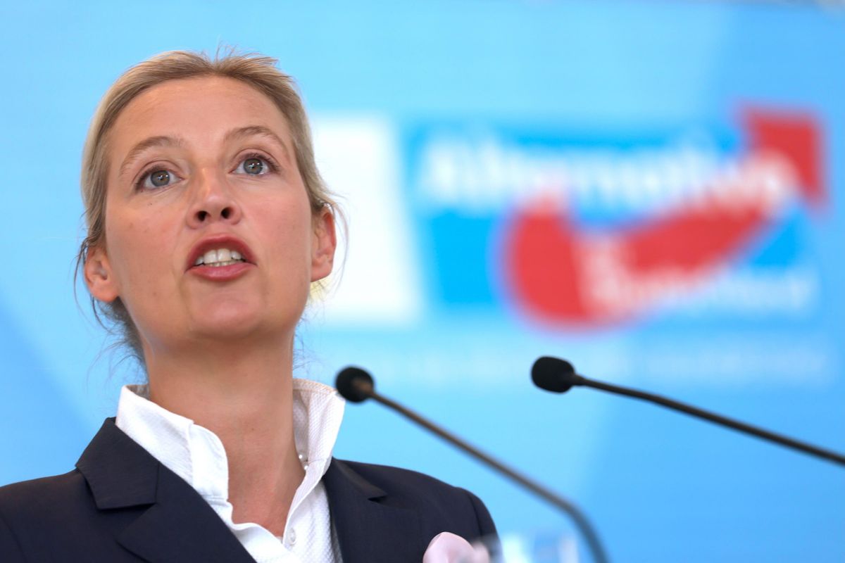 In patria provano a metterli al bando. E i capi di Afd volano alla Casa Bianca