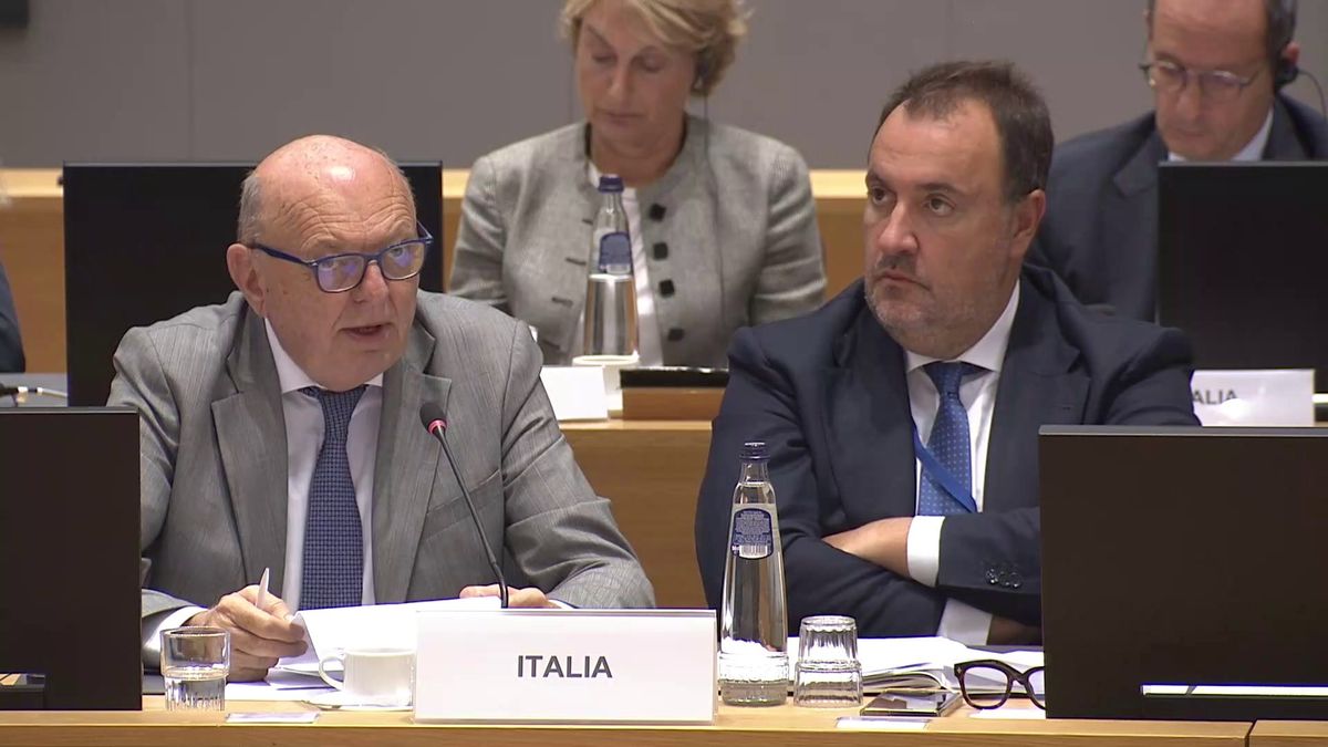 Pichetto: «O l'Ue riesce a gestire la transizione energetica o resterà intrappolata tra fratture interne»