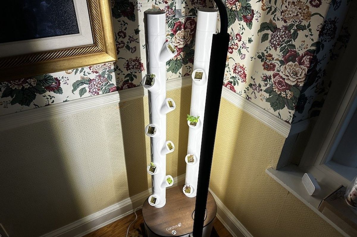 photo of Gardyn Studio with lights on