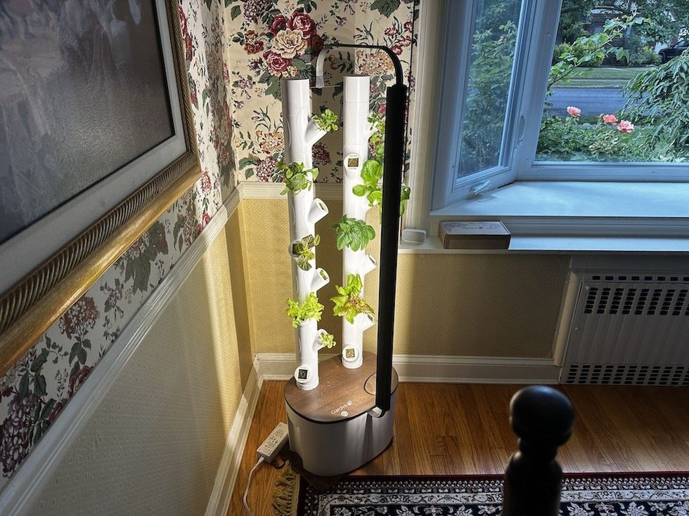 photo of Gardyn Studio growing plants