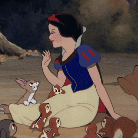 animals, trustworthy, likeable, gif, snow white