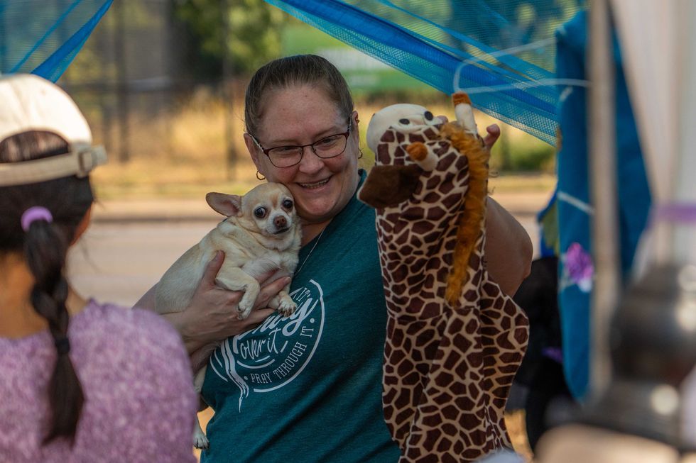 dog, halloween, dog halloween, dog halloween costume, free halloween costume