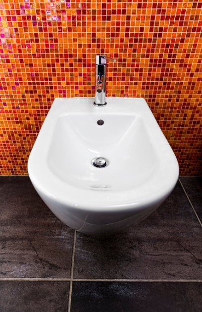 bidet, bidets, toilets, cleanliness, toilet paper