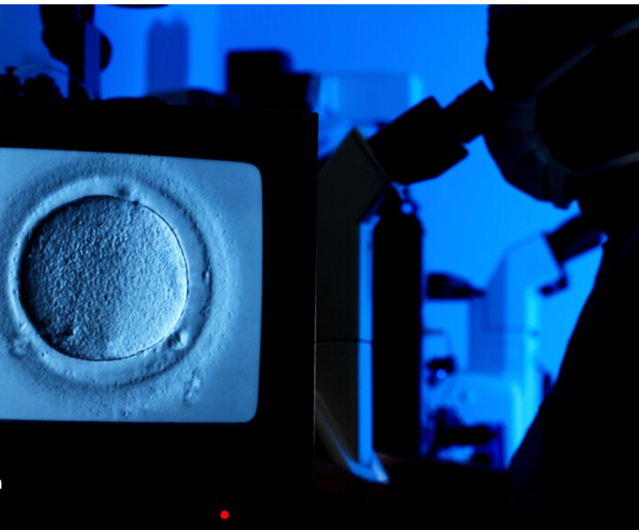 'Historic Victory' Is What Trump Now Calls His Failed IVF Promise