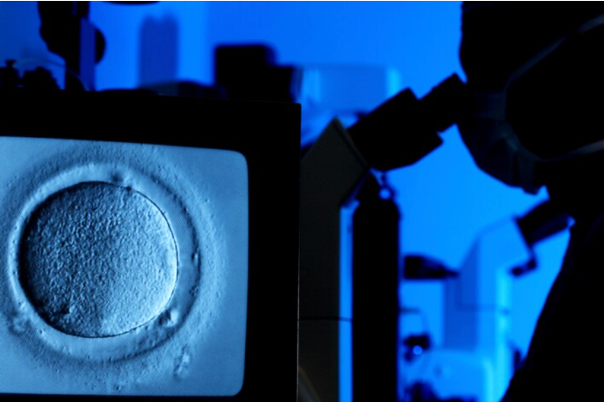 'Historic Victory' Is What Trump Now Calls His Failed IVF Promise