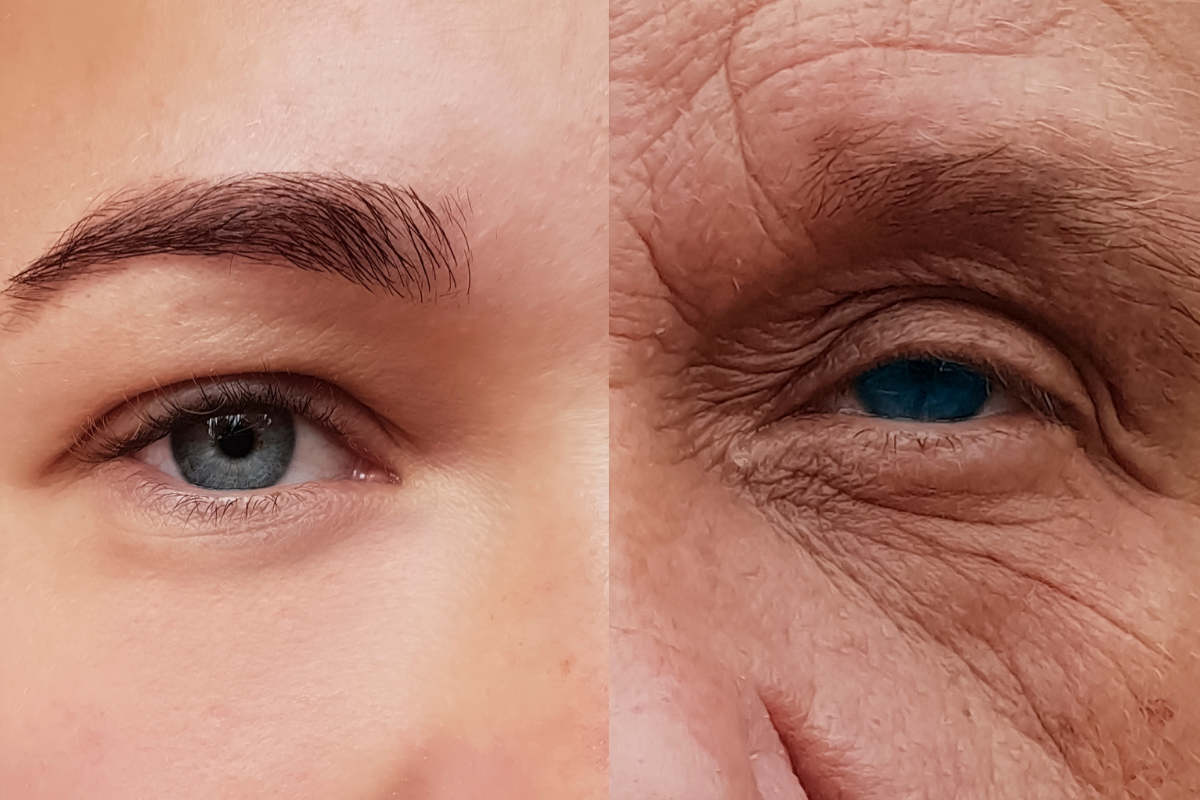 seniors, aging, longevity, brain, health, science, getting older, brain health, intelligence