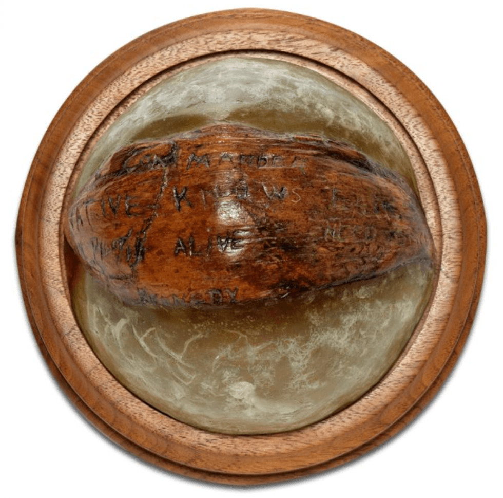 jfk, john f kennedy, coconut, coconut inscription, coconut world war II