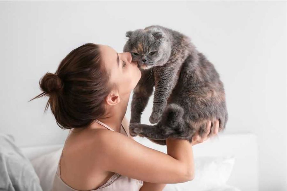 cats; cat behaviors; cats pushing things; cats knocking things over; kittens; pets