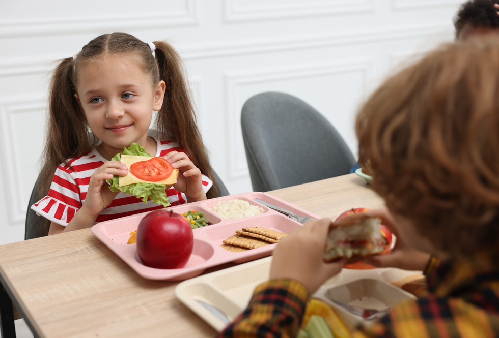 school lunch, South Korea, American food, nutrition, viral photo, Reddit, food culture, kids health, parenting, food debate