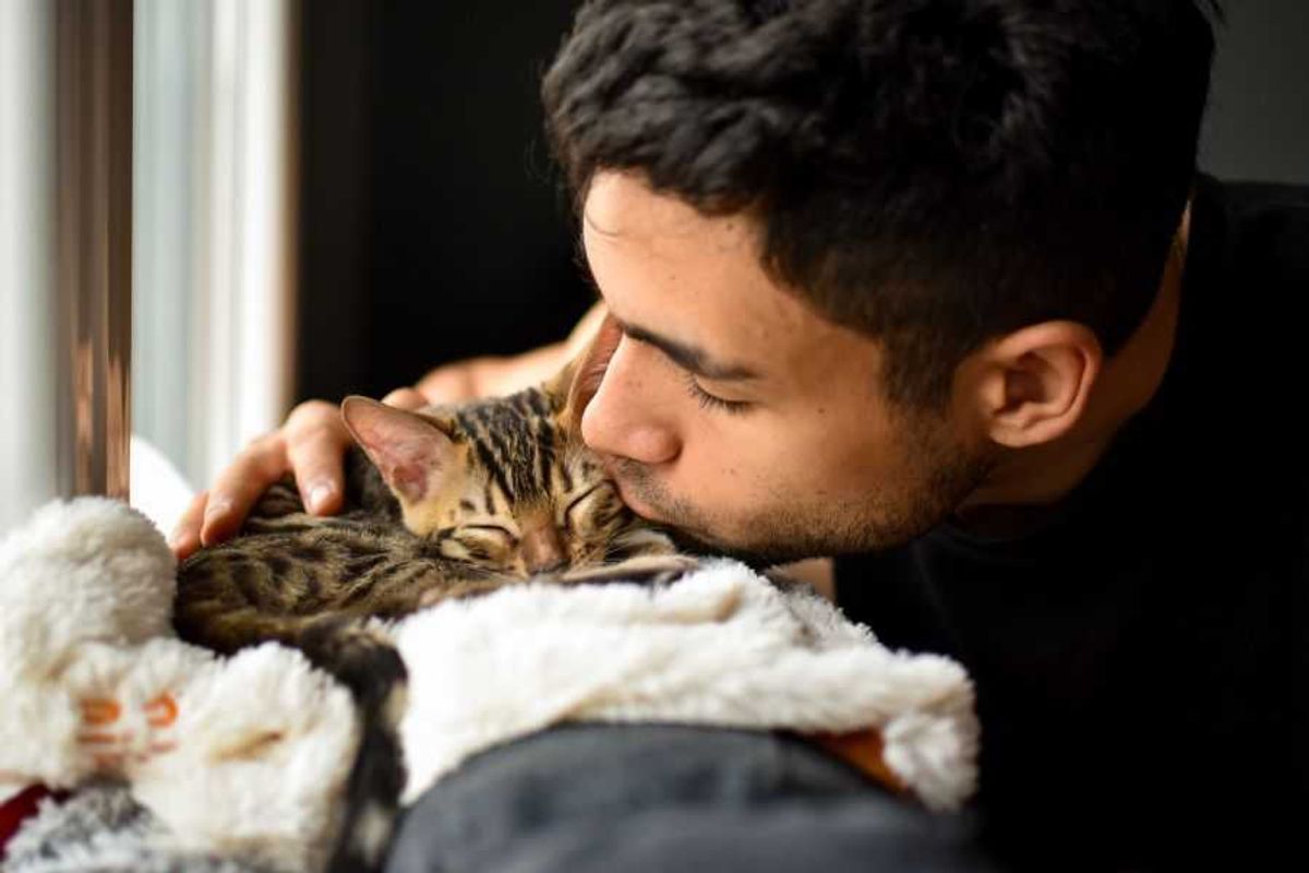 cat; cats; pets; cat's favorite; people and cats; cat snuggles; cat behavior