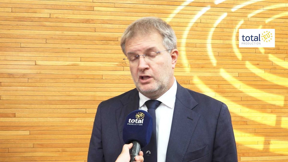 Fidanza: «E-car non è la soluzione. Le industrie lombarde con l'elettrico rischiano di chiudere»