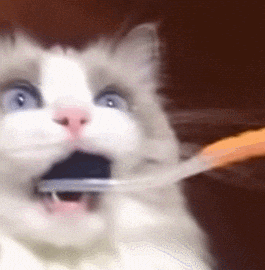 teeth brushing, toothbrush, oral hygiene, toothpaste, dental hygiene