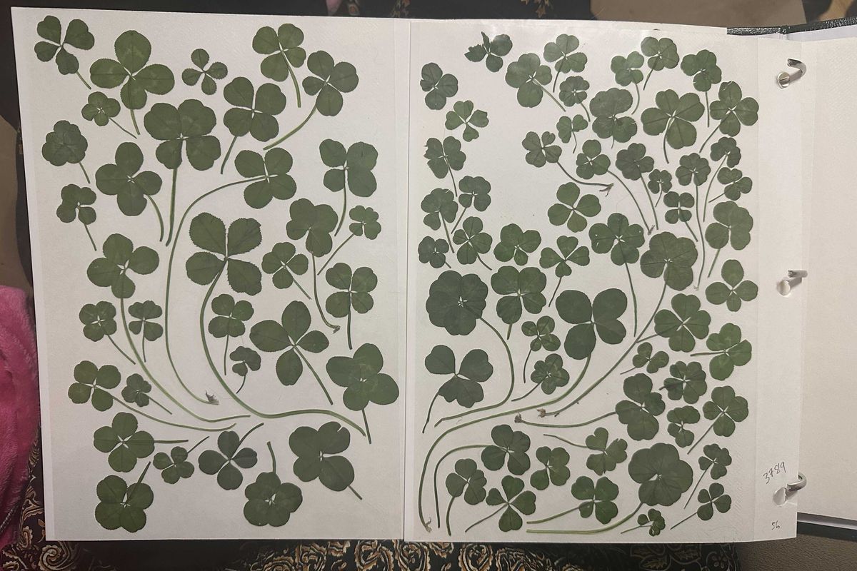 hobbies, analog hobbies, making art, exercise, digital detox, ask reddit, creativity, art, dance, hobbies