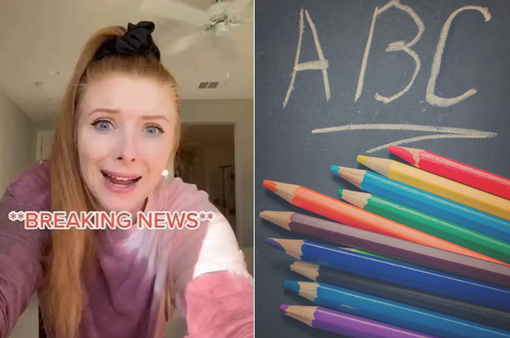 Alphabet Song, LMNOP, elemenopee, song changed, TikTok, viral video, Jessica Skube, parenting, nostalgia, education