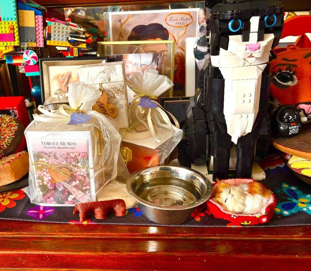 pets, day of the dead, mexican tradition, ofrenda, love