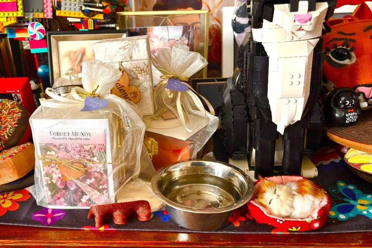 pets, day of the dead, mexican tradition, ofrenda, love