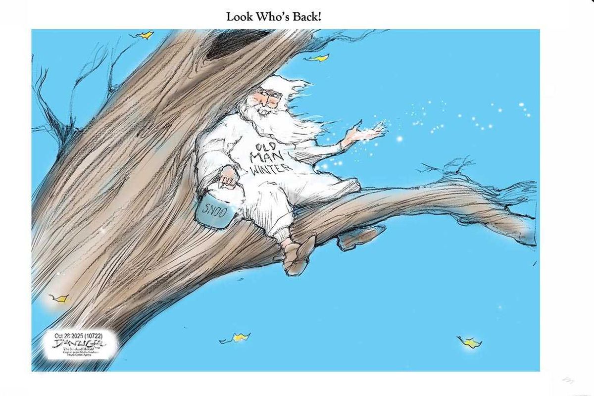 Danziger Draws