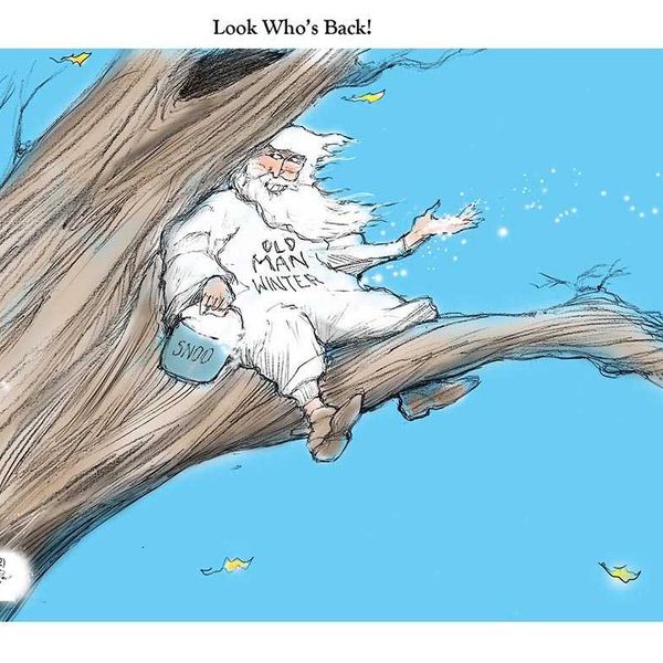 Danziger Draws