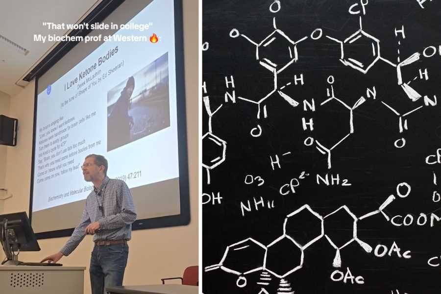 professor, biochemistry, ketone bodies, music, teaching