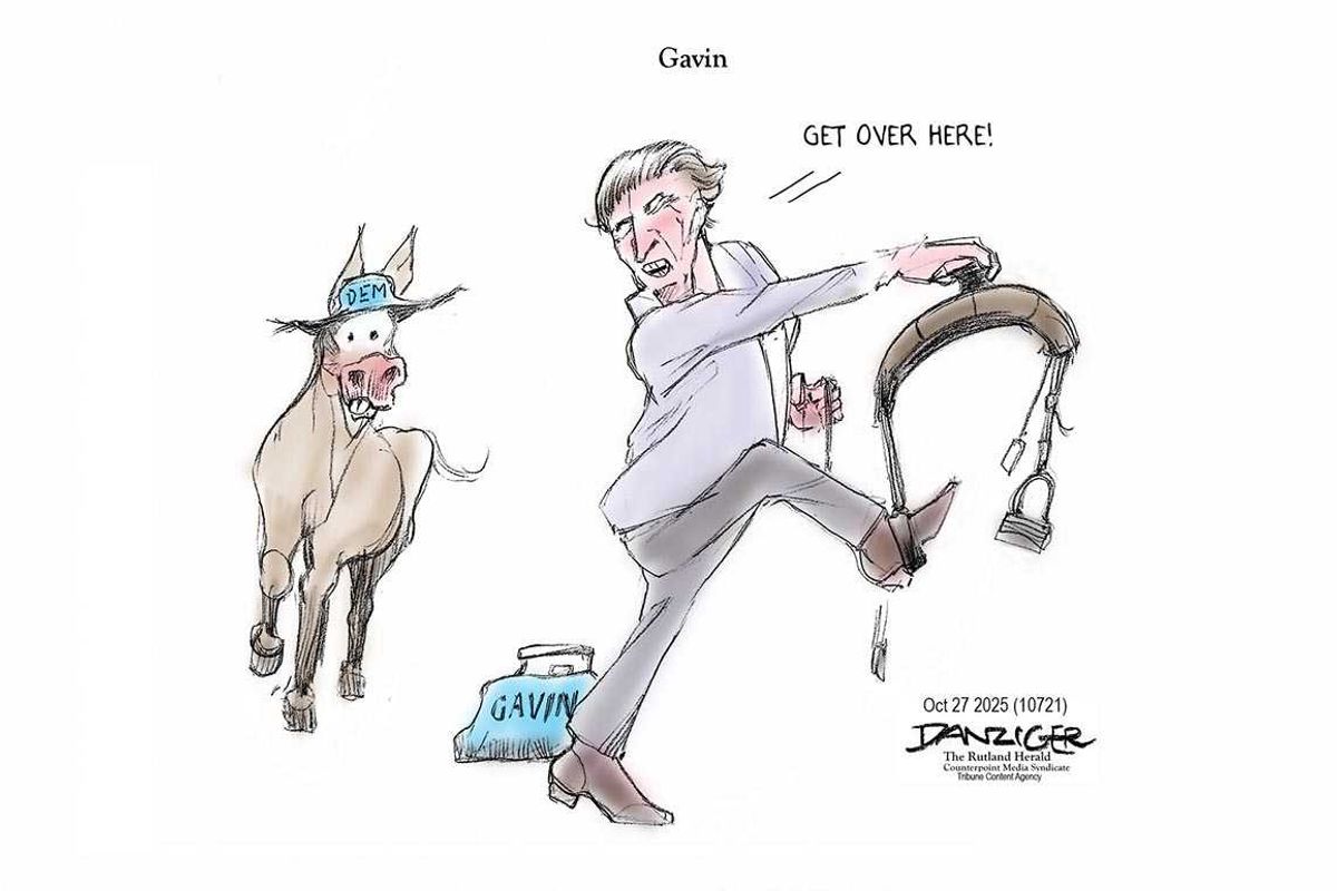Danziger Draws