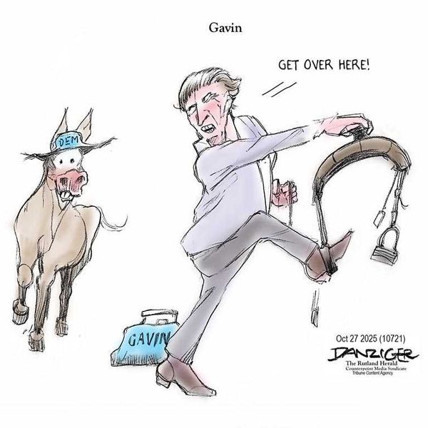Danziger Draws