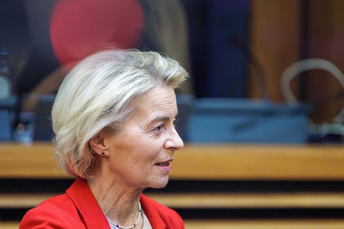 La Ue sul clima è un «gattopardino»: cambia (poco) per non cambiar nulla