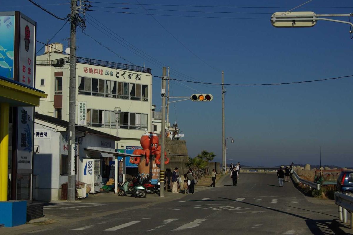 himakajima stoplight, traffic light, street corner, octopus, japan, japanese island