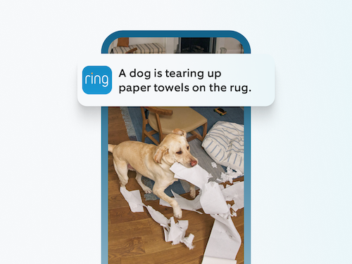 a photo of a smartphone with Ring AI Single Event Alert being made.