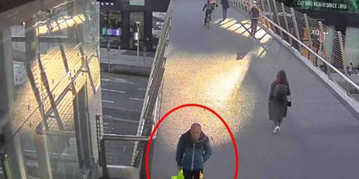 Matti liberi, «regalo» della Consulta Matti liberi, «regalo» della Consulta