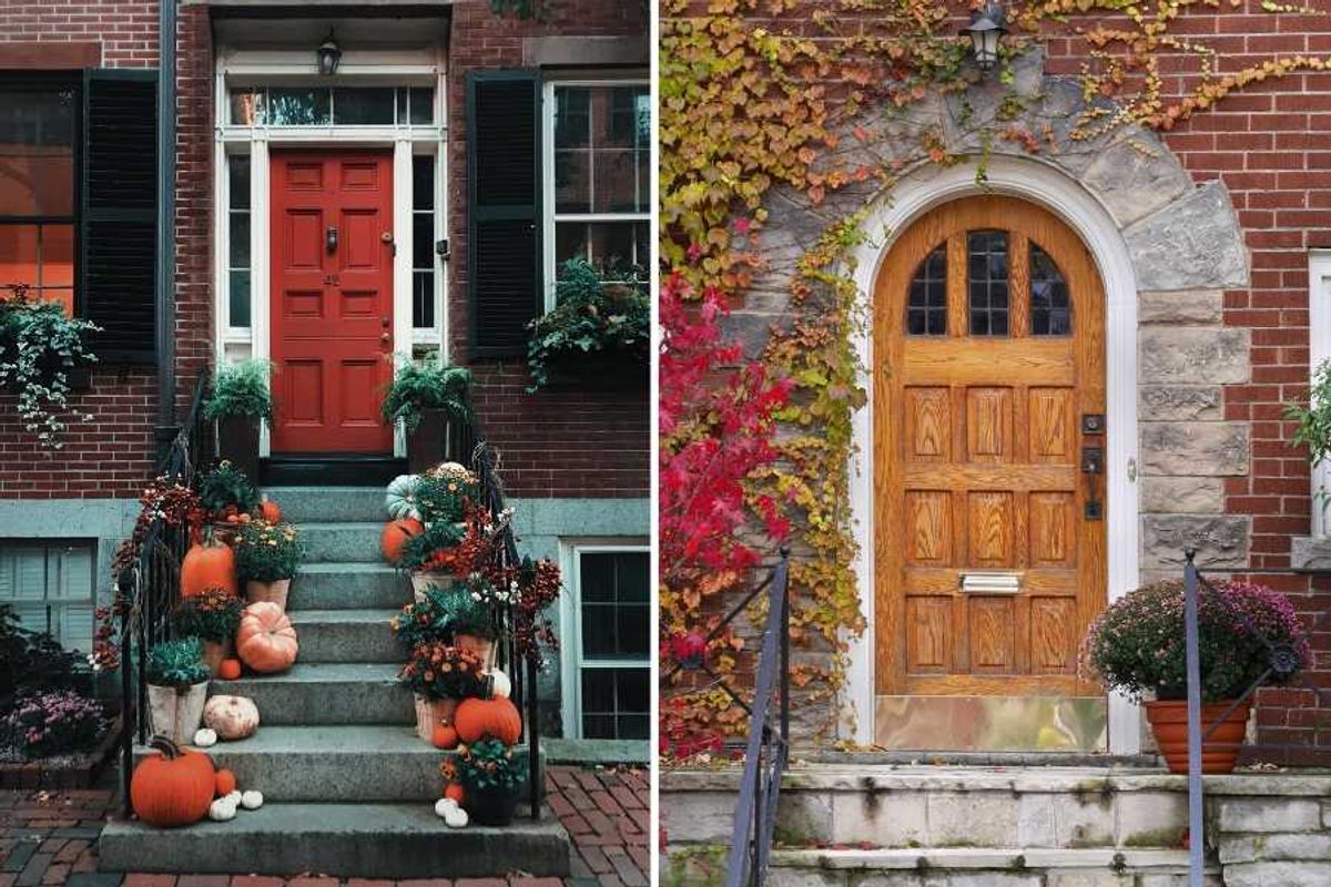 raised panels, wood door, woodworking, architectural detail, paneled door