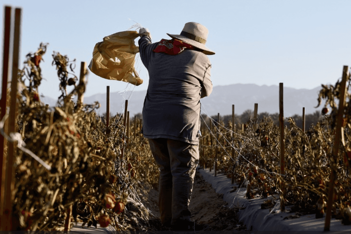 The farmworkers who feed America have a message for all of us