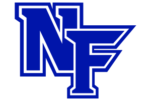 THE HIERARCHY: VYPE DFW 2025 Week 11 Football Rankings; North Forney surges, Walnut Grove debuts