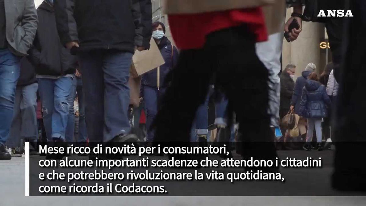 Multe e telefonate moleste: ecco le novità di novembre