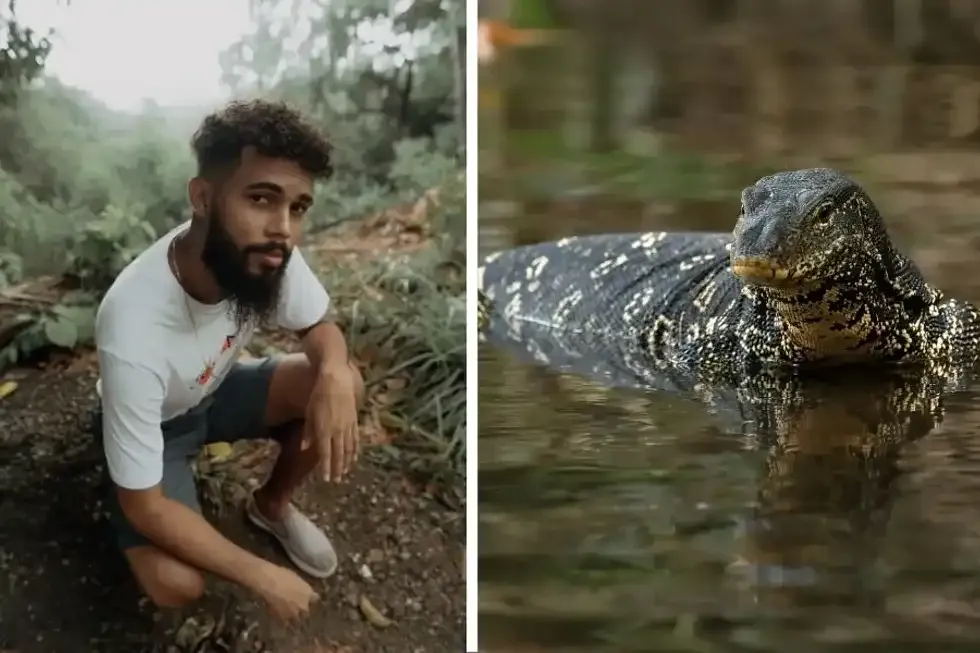 Brazil; forest camera, wild life, interesting wild life, man builds puddle, puddle in forest, animals, rainforest, conservation, cute