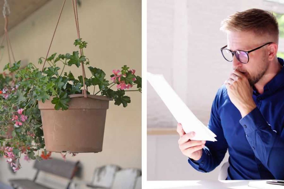 neighbors, threads, sarit ray, plants, watering plants, plant watering guide, handwritten, introverts, loving an introvert, community, social skills