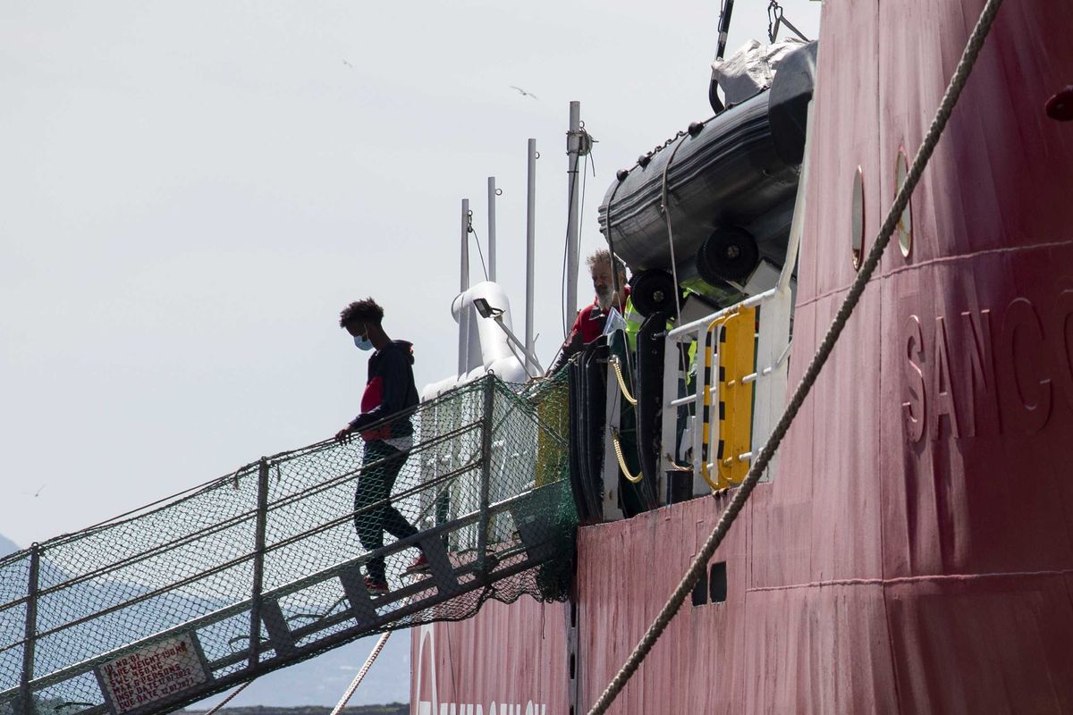 Hai capito le Ong: giro d’affari da 1,4 miliardi