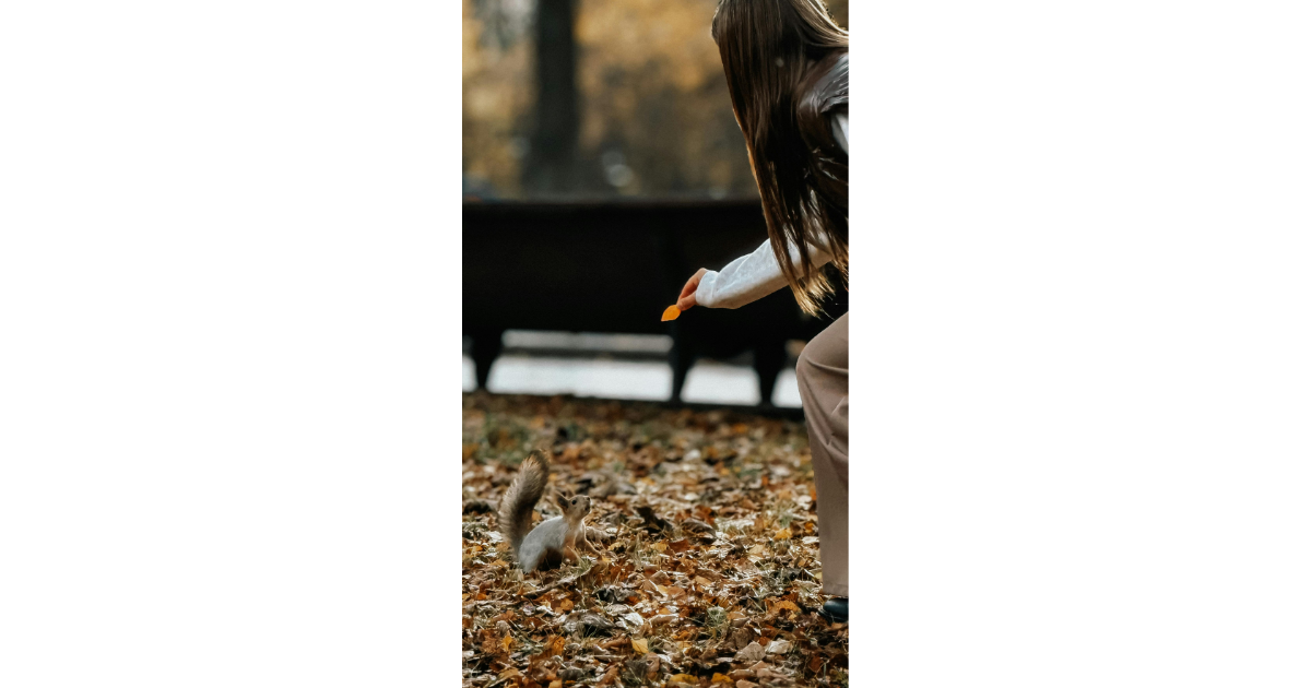squirrel, nature, feed, woman, kindness
