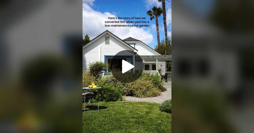 backyard, boring, dilapidated, renew, makeover, new, patio , diy, gardening, sustainability, making a garden